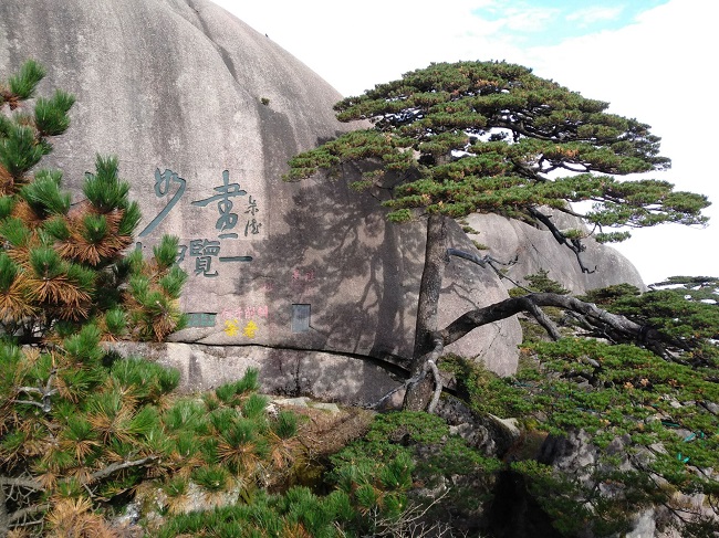 日登黃山，夜醉溫泉！